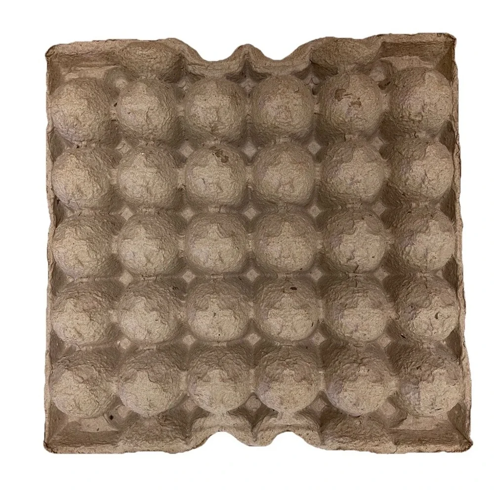30-Count Biodegradable Pulp Fiber Egg Flat Cartons‎ - 20 Pack - Used & Clean